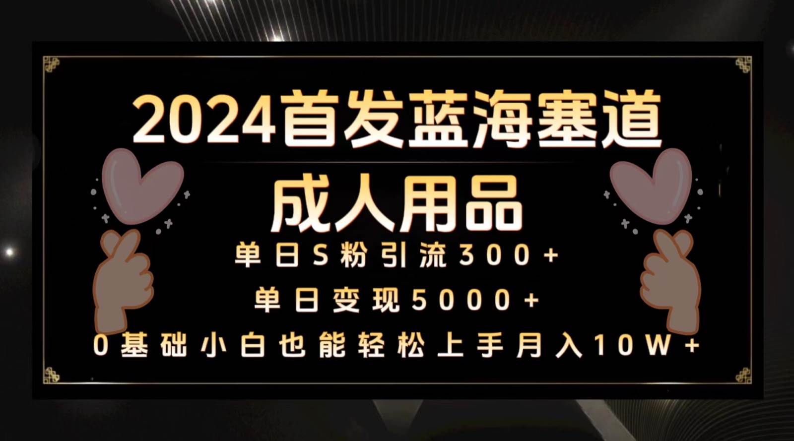 图片[1]-2024首发蓝海塞道成人用品，月入10W+保姆教程-学习可以让转运(赢)的资源库-kyrzy.com