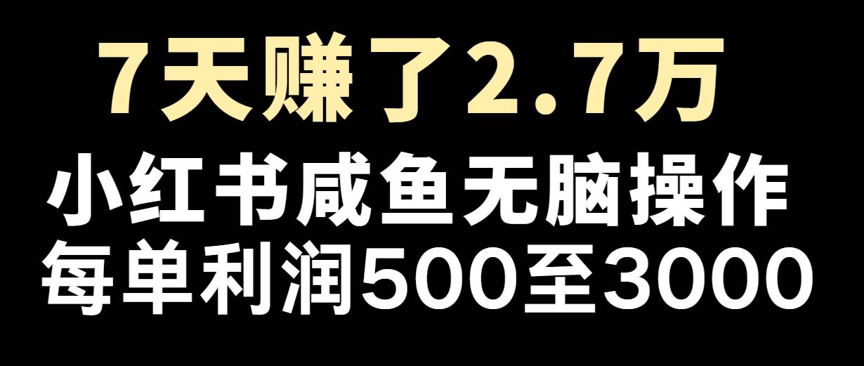 图片[1]-七天赚了2.7万！每单利润最少500+，轻松月入5万+小白有手就行-学习可以让转运(赢)的资源库-kyrzy.com