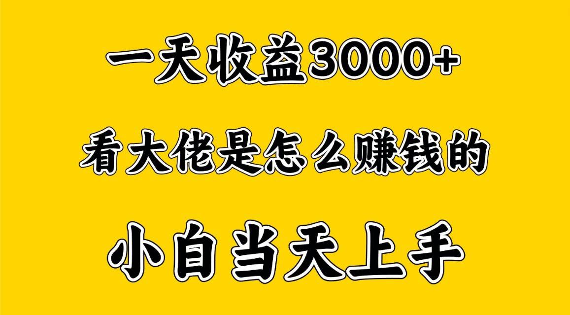 图片[1]-一天赚3000多，大佬是这样赚到钱的，小白当天上手，穷人翻身项目-学习可以让转运(赢)的资源库-kyrzy.com