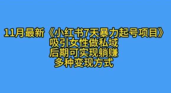 图片[1]-K总部落11月最新小红书7天暴力起号项目，吸引女性做私域【揭秘】-学习可以让转运(赢)的资源库-kyrzy.com