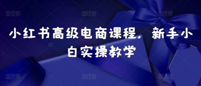 图片[1]-小红书高级电商课程，新手小白实操教学-学习可以让转运(赢)的资源库-kyrzy.com