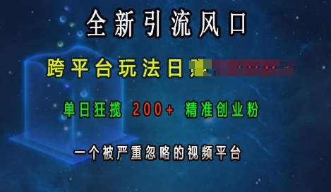 图片[1]-全新引流风口，跨平台玩法日入上k，单日狂揽200+精准创业粉，一个被严重忽略的视频平台-学习可以让转运(赢)的资源库-kyrzy.com